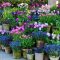 Container Gardening Tips For Those of You Who Don't Have Land