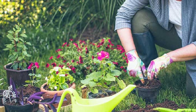 Create Home Garden Tips for Narrow Land in a Simple Way