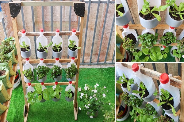 DIY Garden Projects Brilliant Ideas to Make the Most of Your Yard 