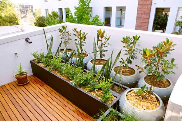 Tips for Small Space Gardening That Maximizes Yields