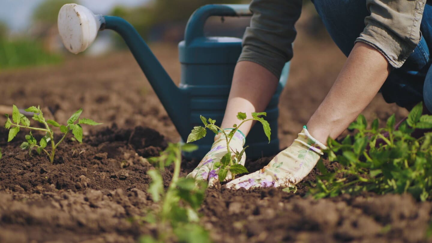 The Benefits of Organic Gardening Why You Should Go Green (1)