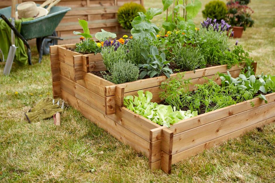 Organic Gardening Hacks Save Time and Boost Growth